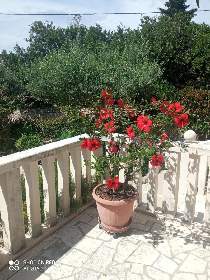 Hibiskus Apartman Bol