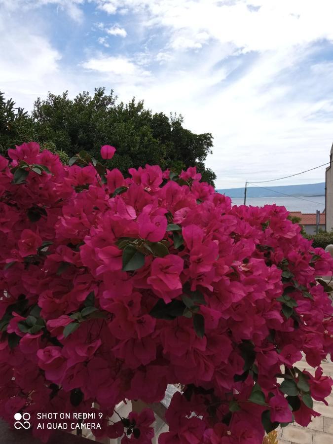 Apartman Hibiskus *