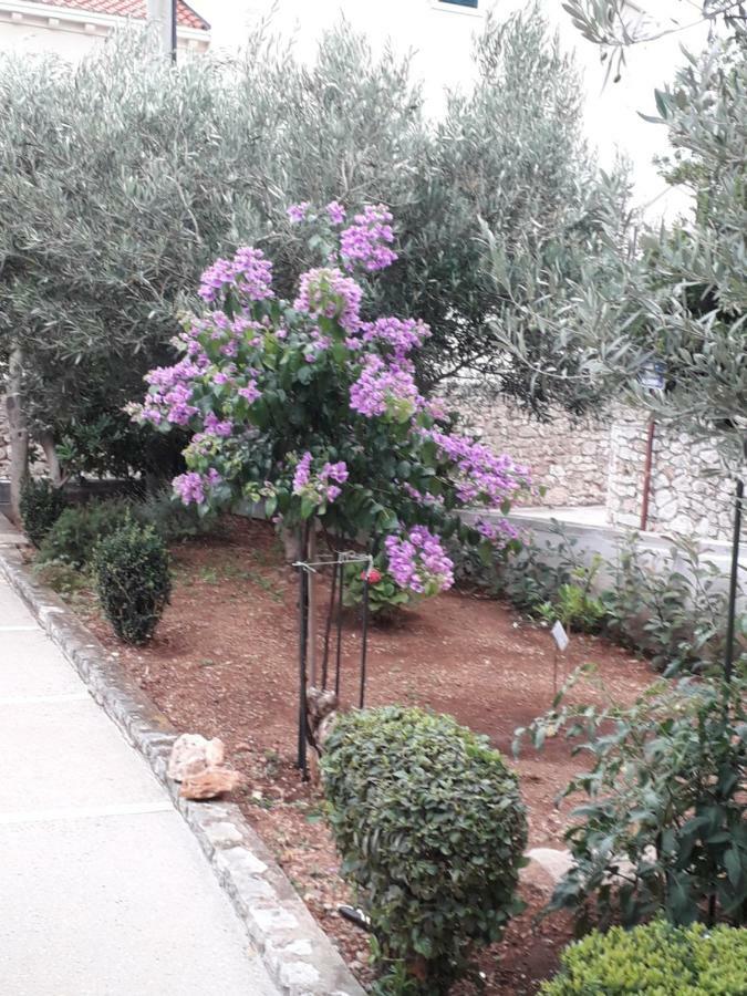 Apartman Hibiskus *