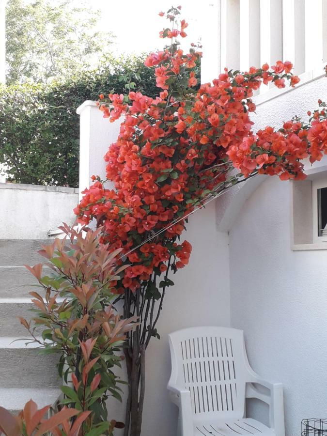 Apartman Hibiskus